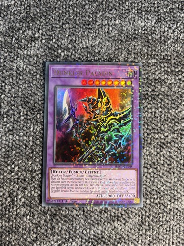 Dunkler paladin - yu-gi-oh!,